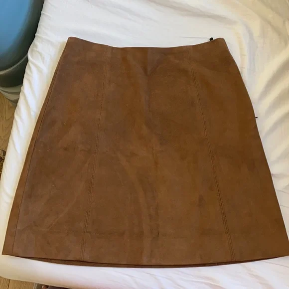 Aritzia Babaton Suede Skirt